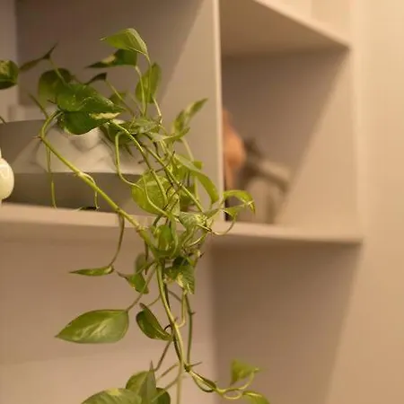 Studio De Luxo Apartamento *